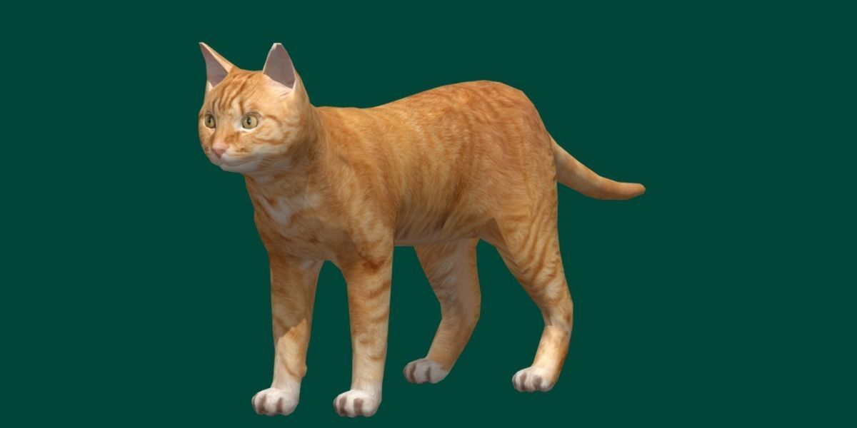 Ginger Cat Low-poly 3D model_10