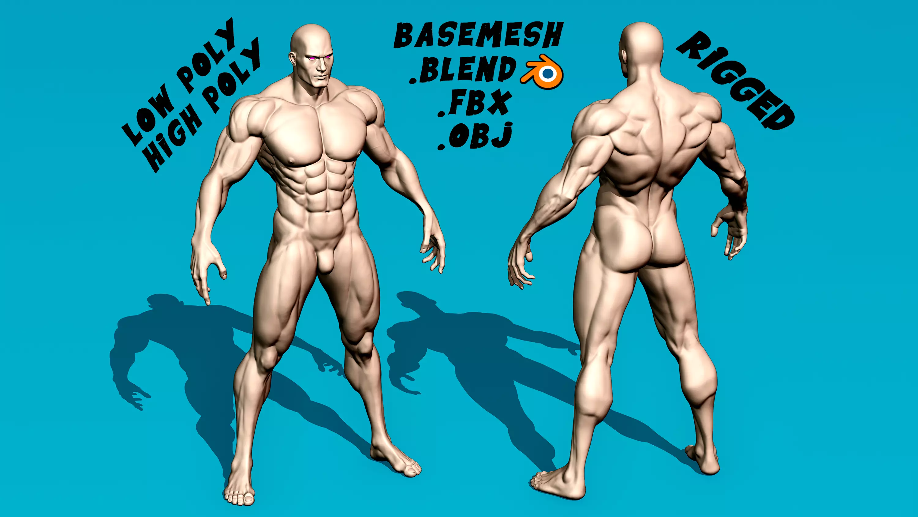 Muscular Male Heroic Anatomy Basemeshes Low mesh rigged Low-poly 3D model