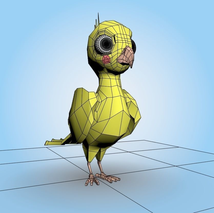 Cockatiel Bird 3D model_6