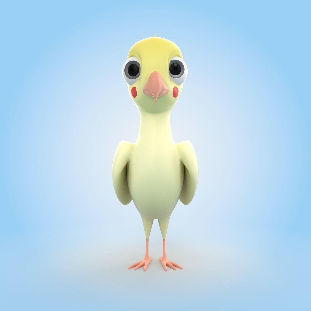 Cockatiel Bird 3D model_4