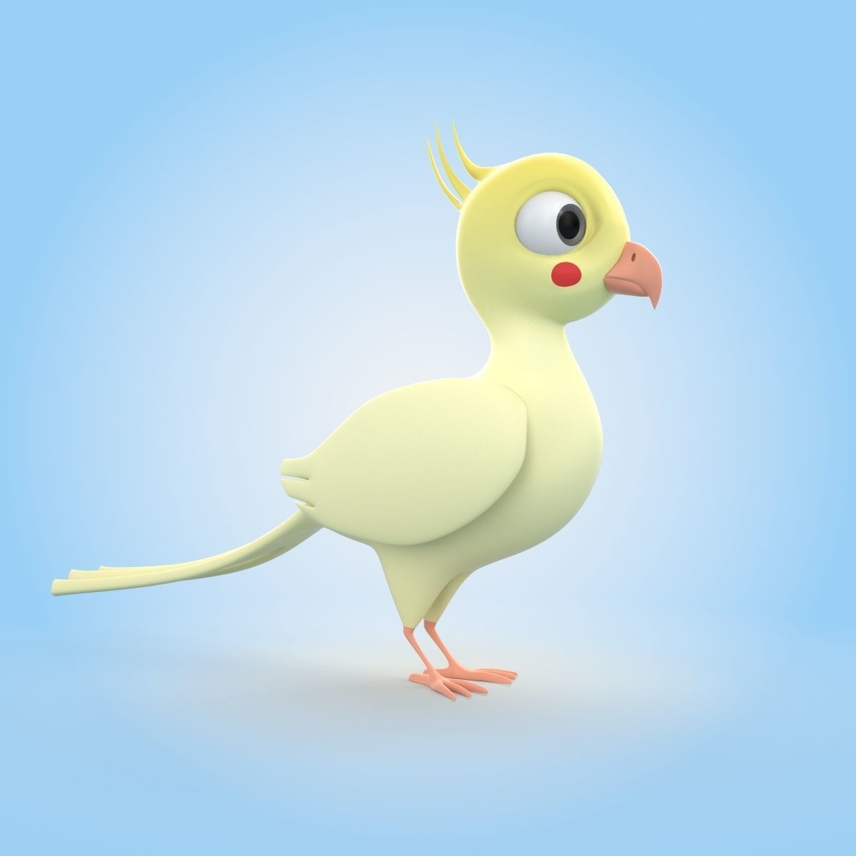Cockatiel Bird 3D model_1