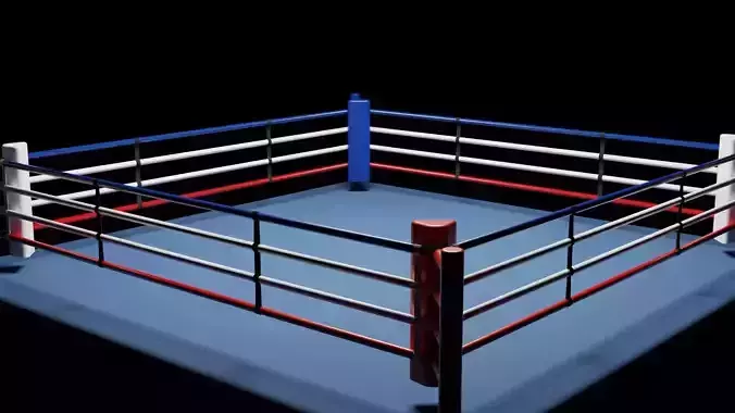 Boxing ring 