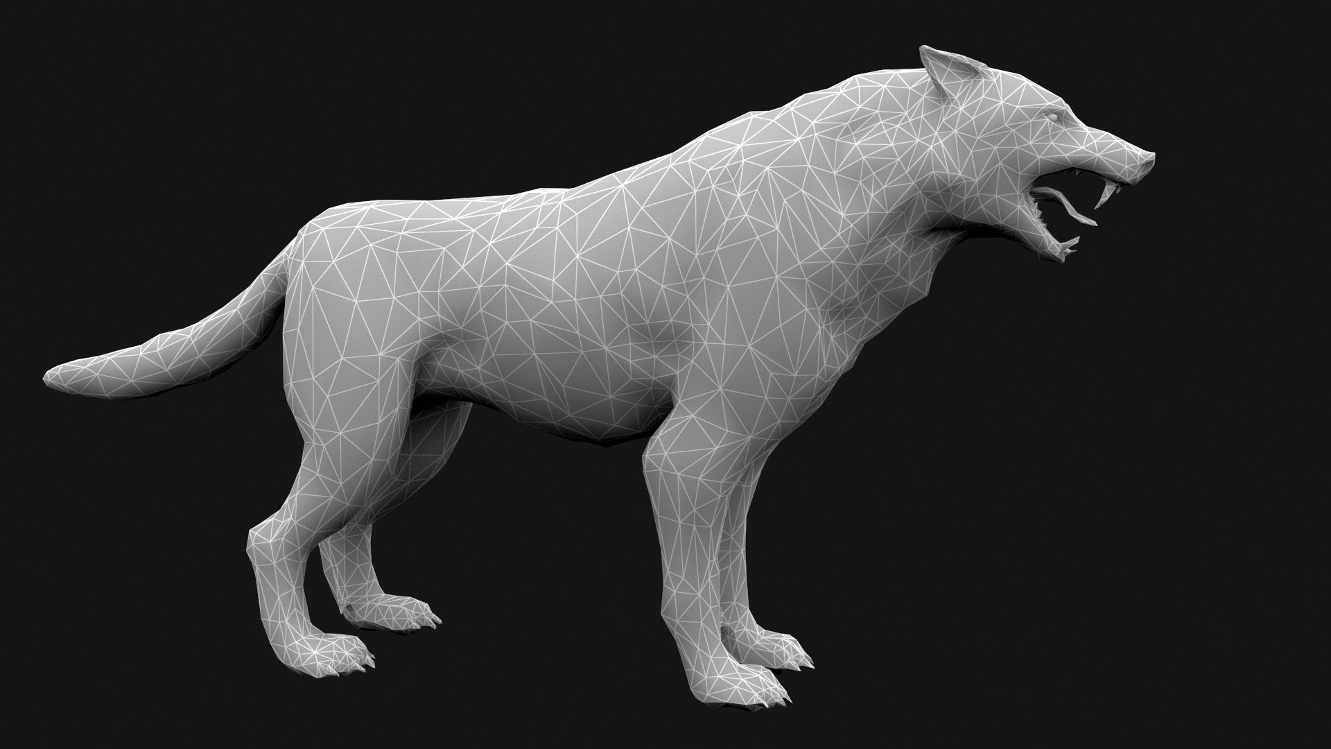animated arctic wolf Low-poly 3D model_10