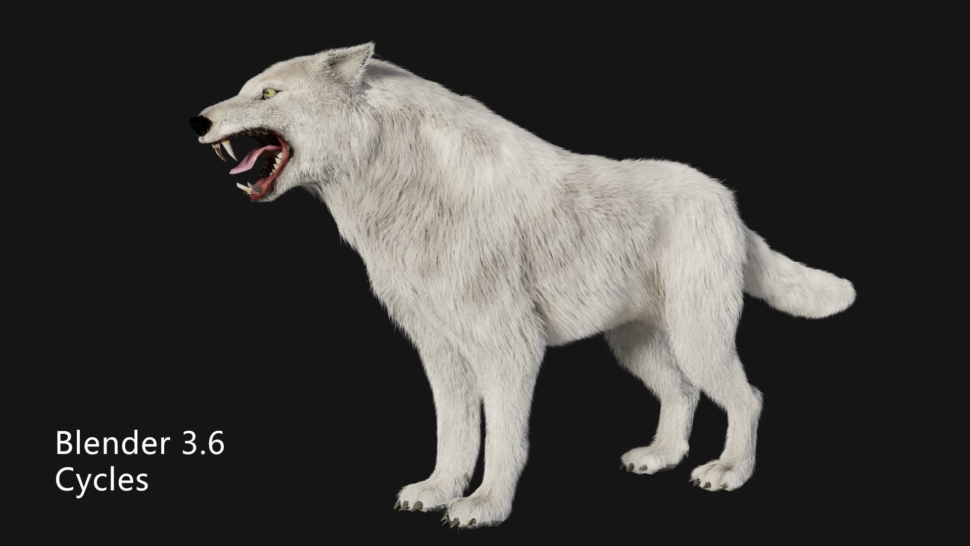 animated arctic wolf Low-poly 3D model_2