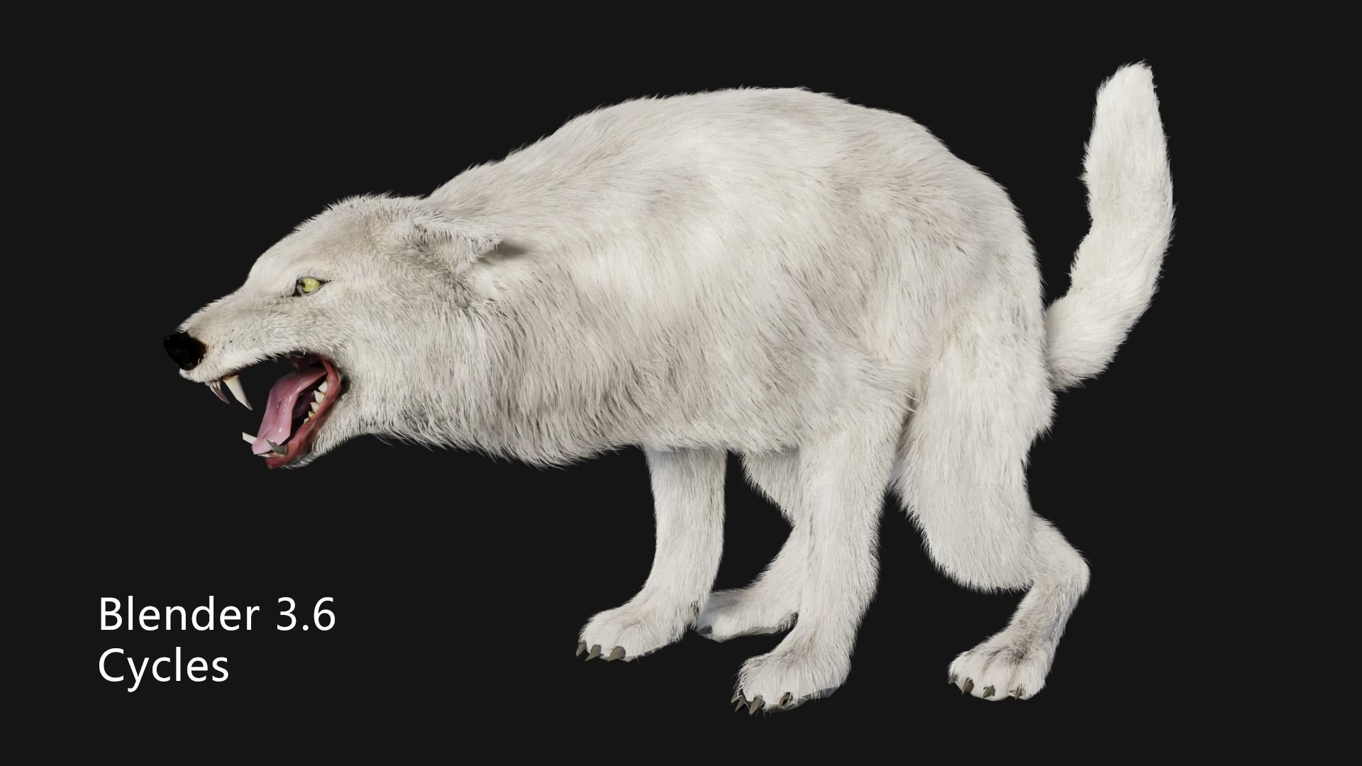 animated arctic wolf Low-poly 3D model_3