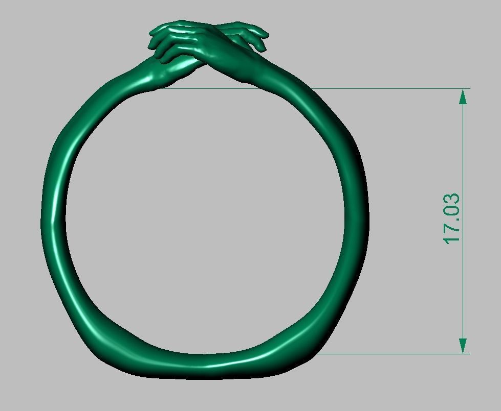 Ring model 0245 3D printable model14 3D print model_14