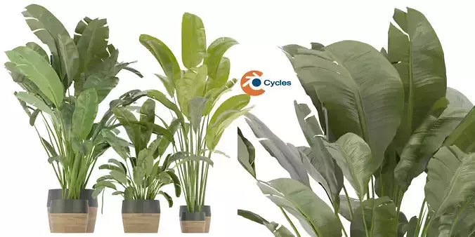 Collection plant vol 275 - blender model