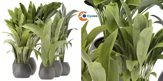 Collection plant vol 276 - blender model 