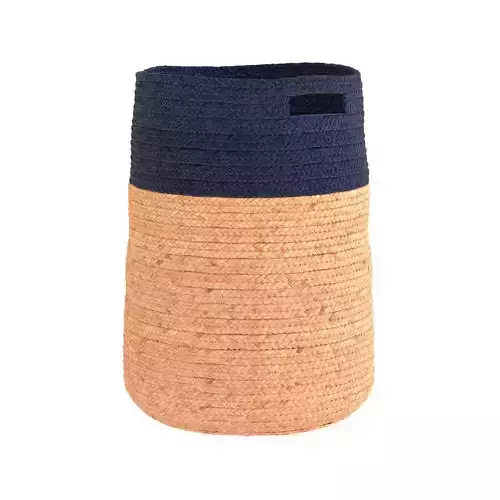 Jute Planter 3D model