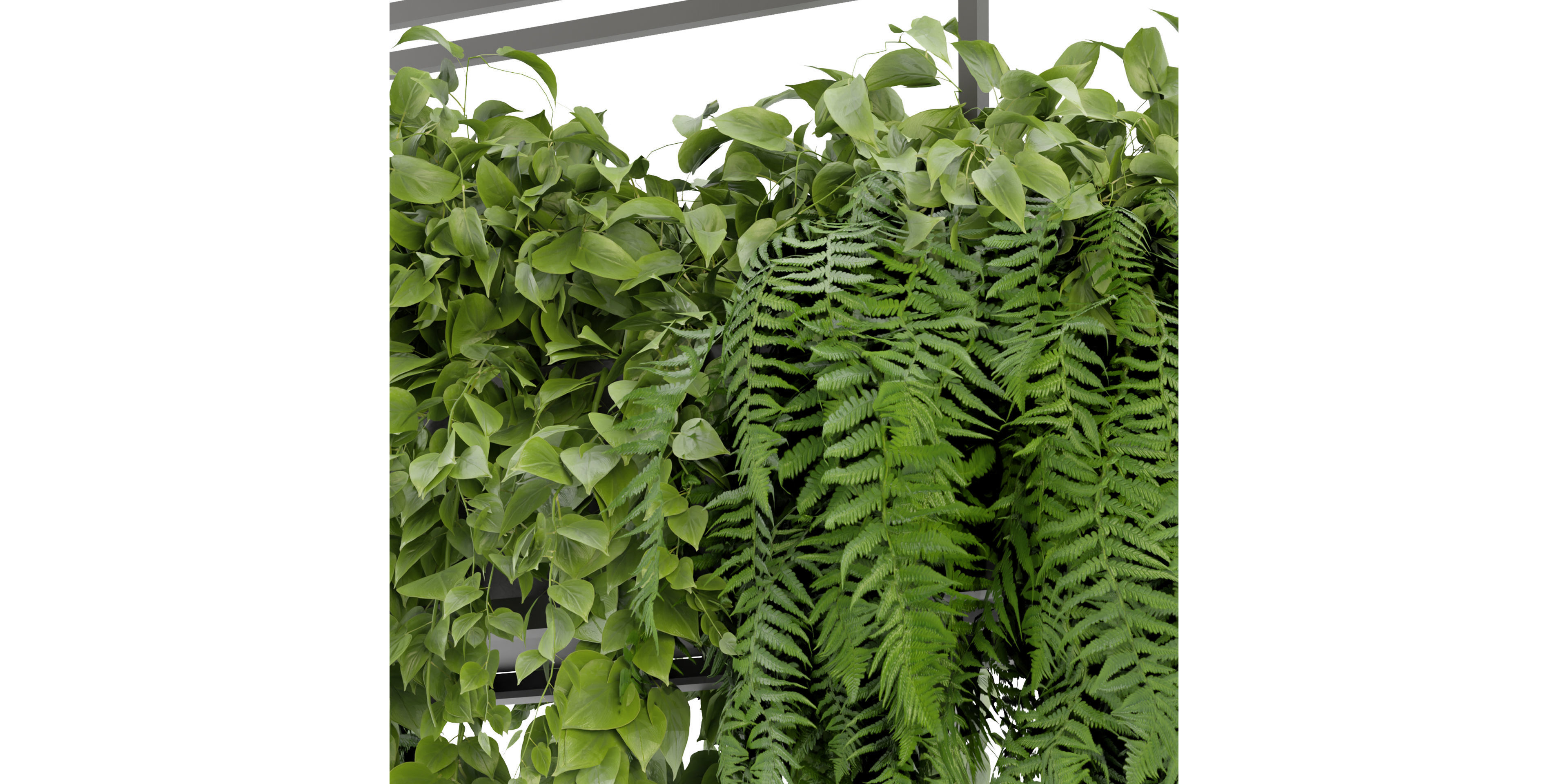 Collection plant vol 277 - blender model  3D model_3