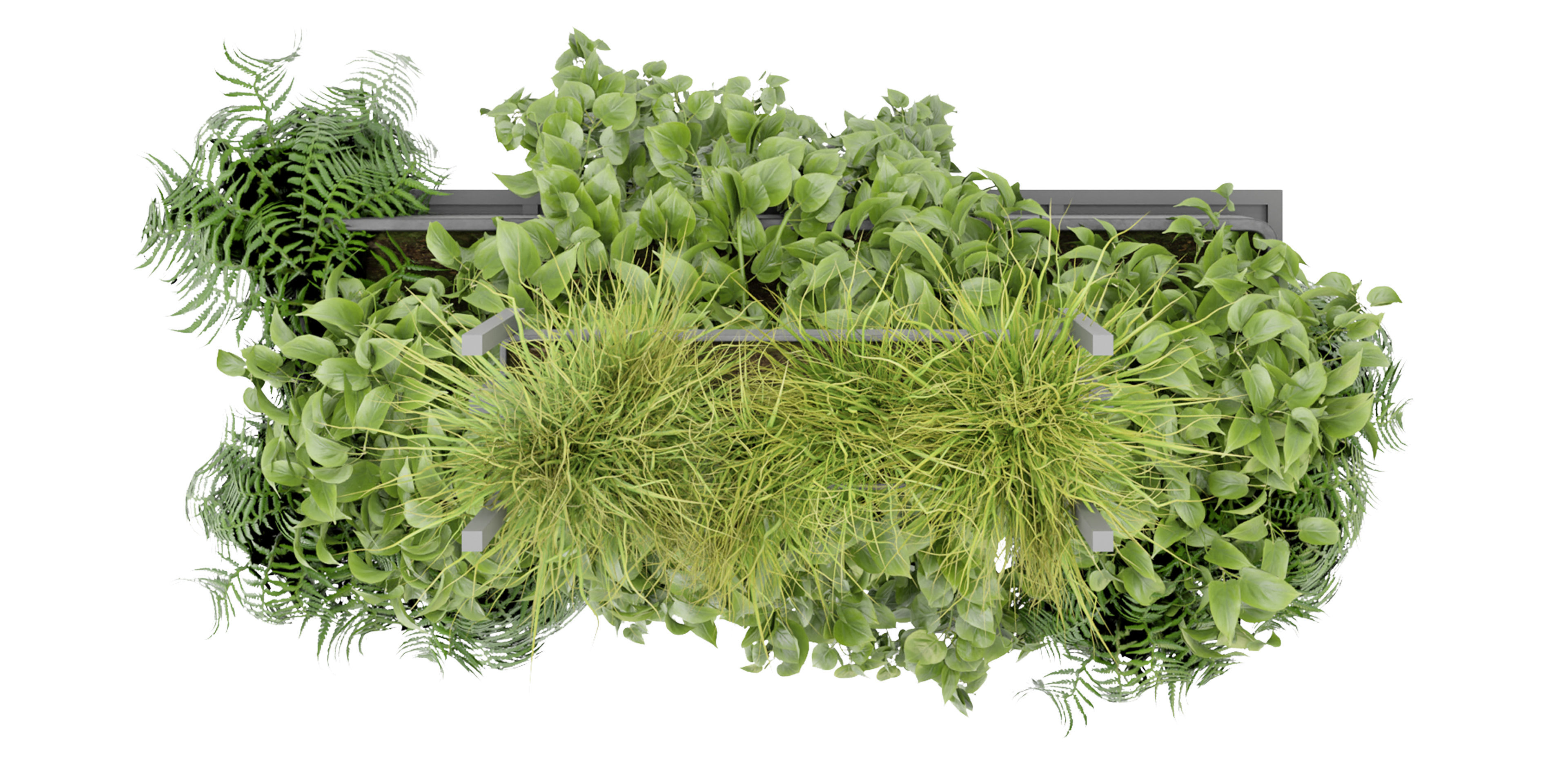 Collection plant vol 277 - blender model  3D model_5