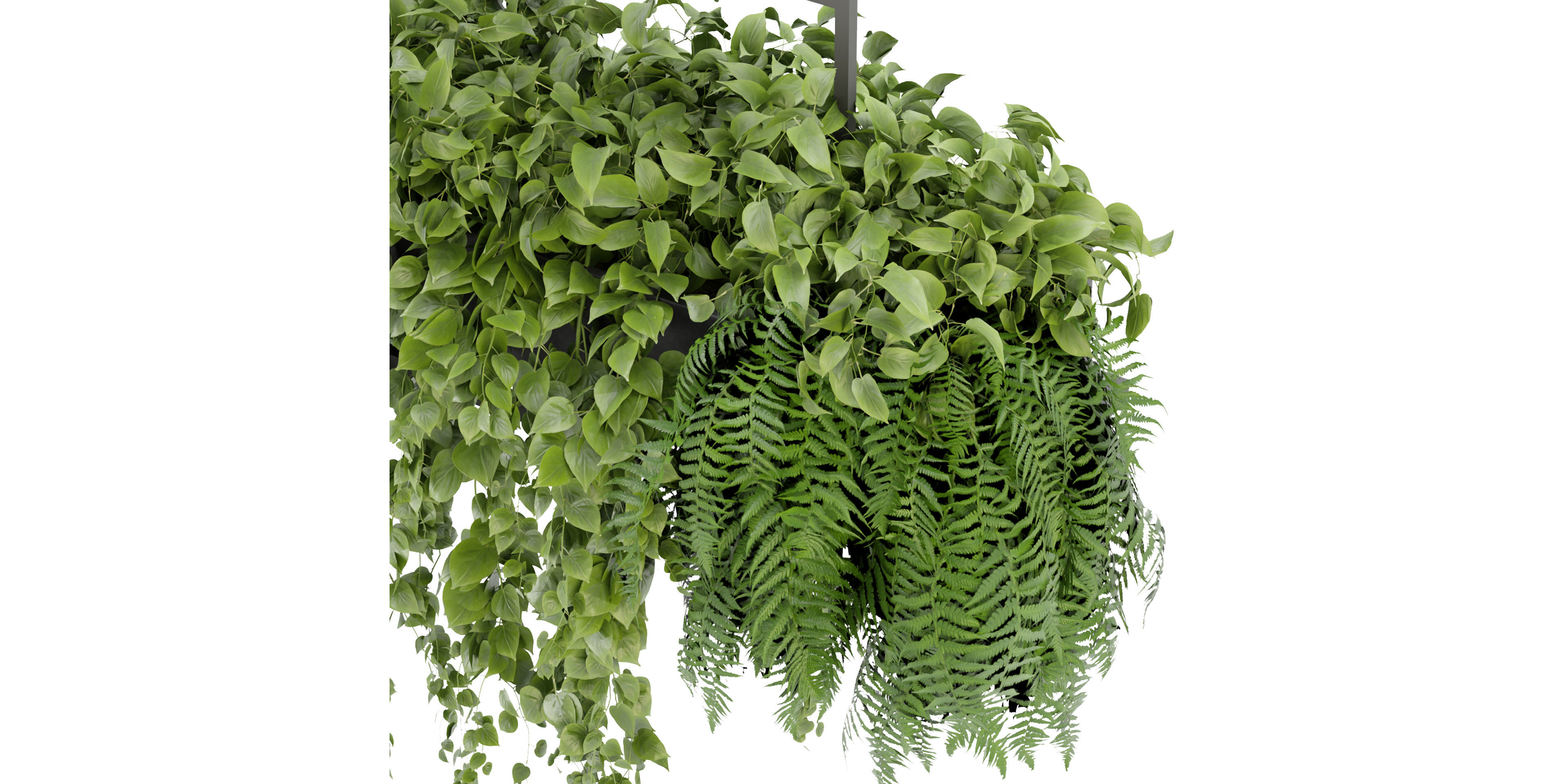 Collection plant vol 277 - blender model  3D model_4