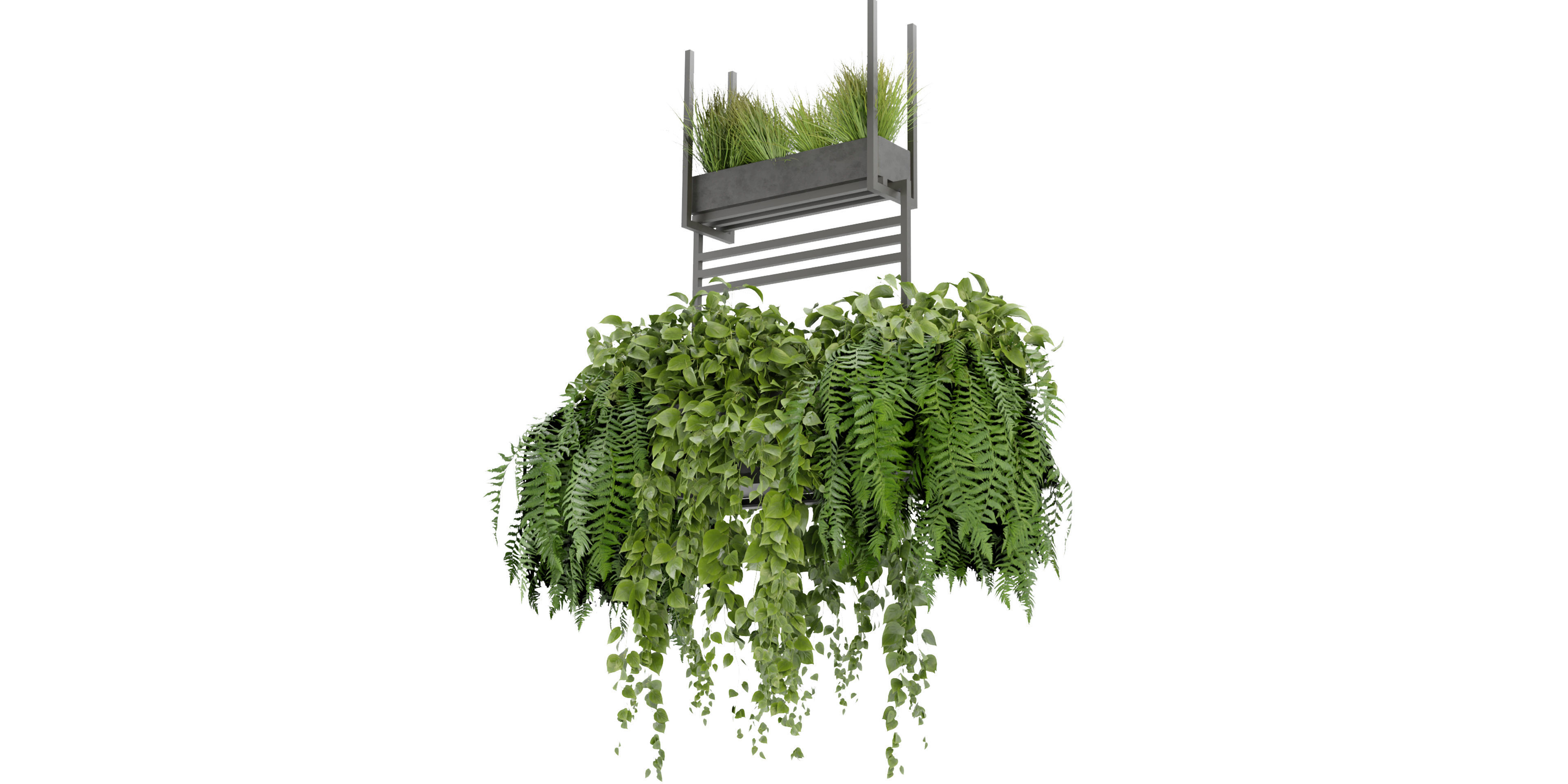 Collection plant vol 277 - blender model  3D model_2