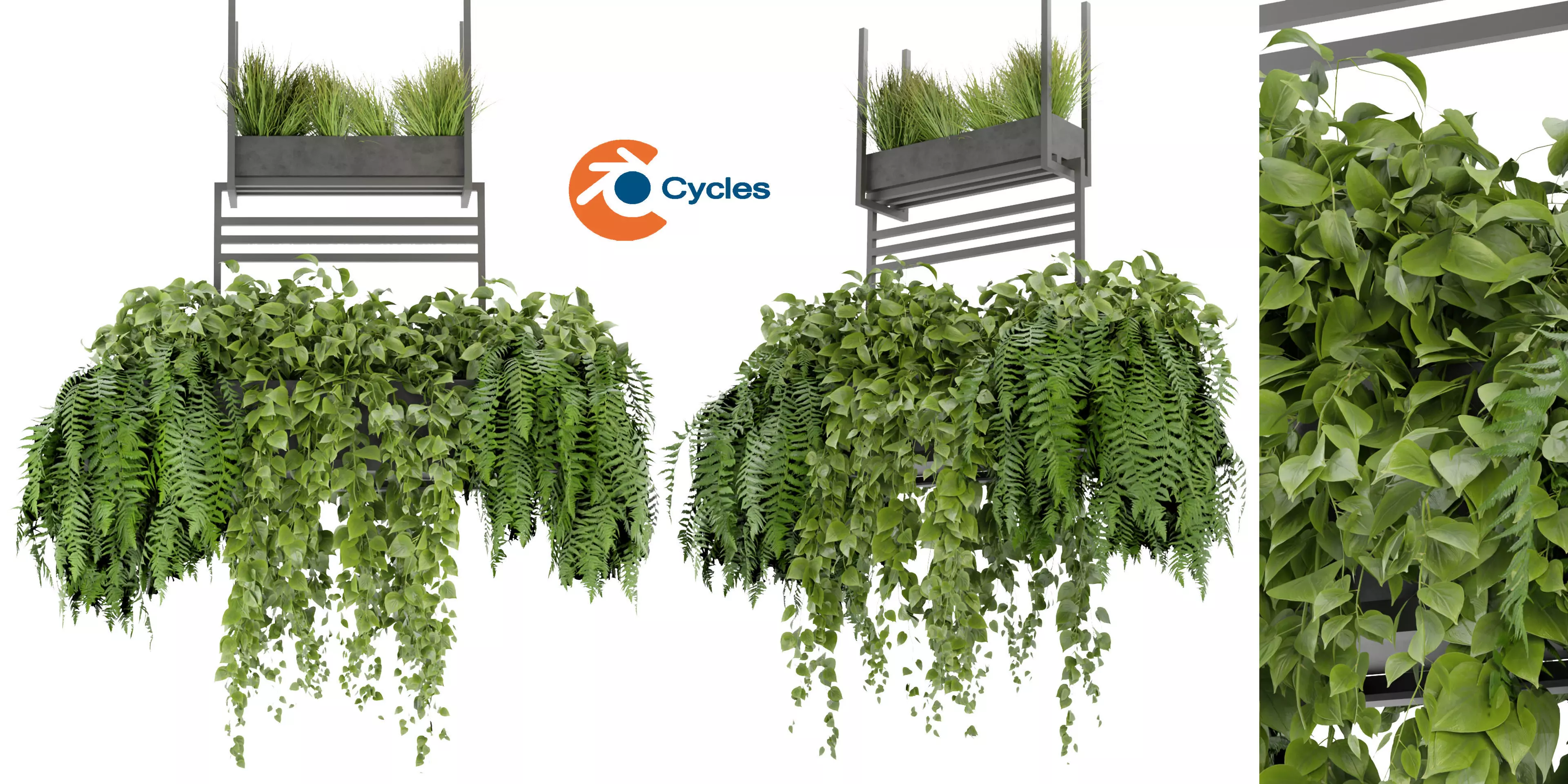 Collection plant vol 277 - blender model  3D model_0