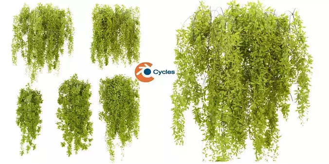 Collection plant vol 281 - blender model 