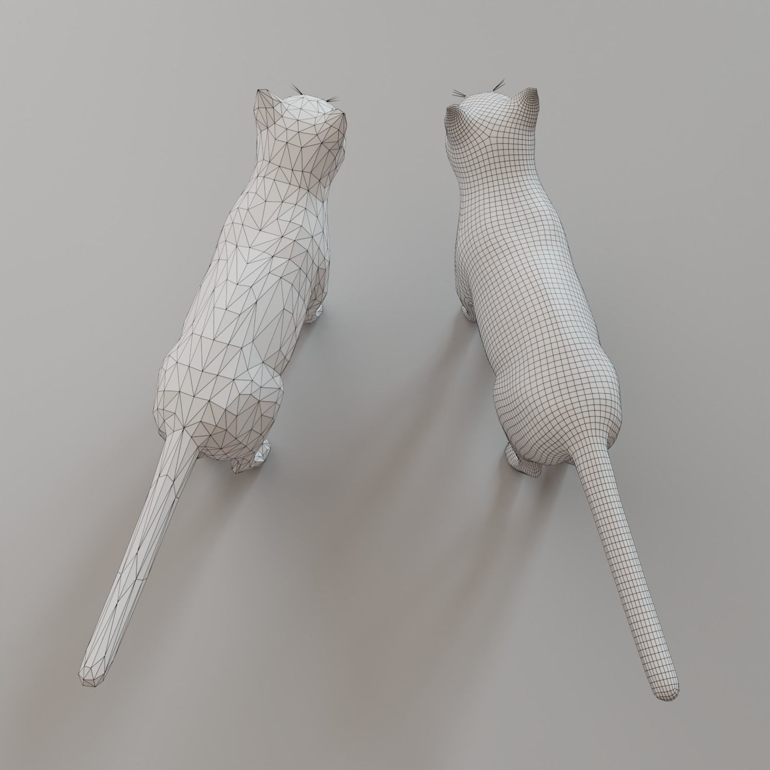 Low Poly Cat Animal  Low-poly 3D model_5