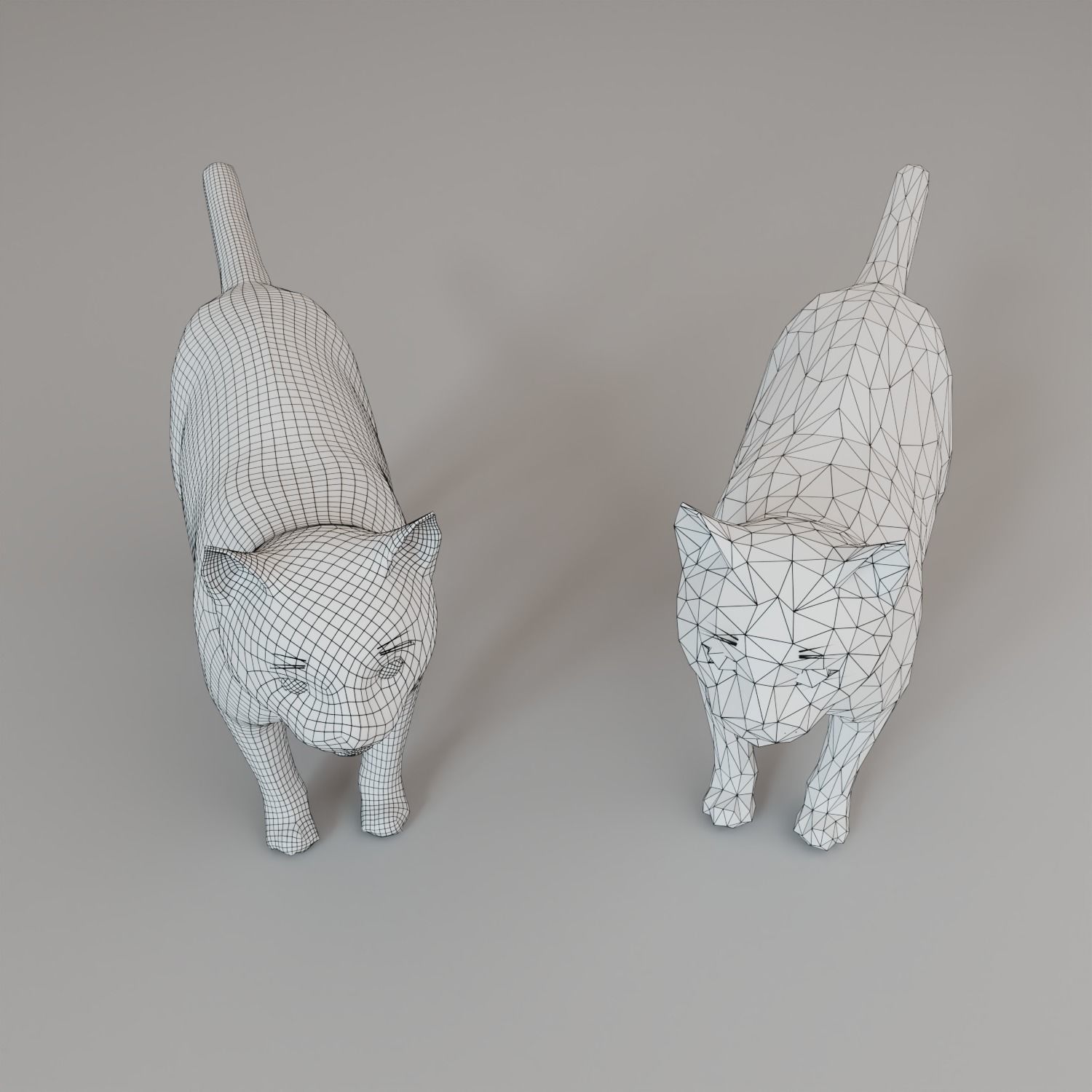 Low Poly Cat Animal  Low-poly 3D model_1