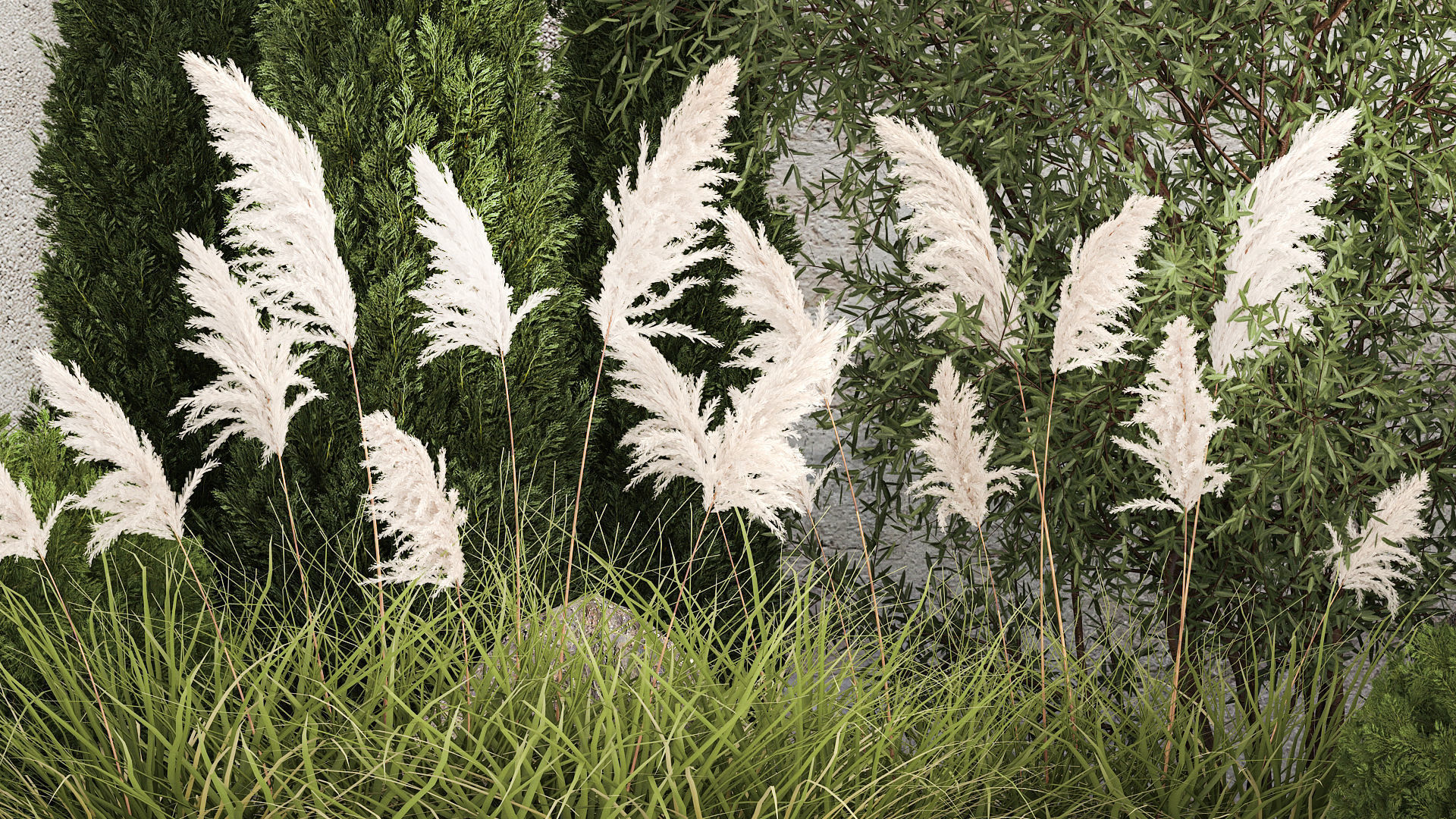 Beautiful garden of thuja cypress topiary bushes grass 1341 3D model_5