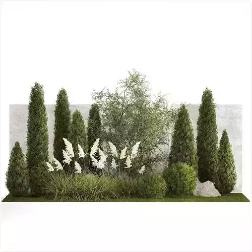 Beautiful garden of thuja cypress topiary bushes grass 1341 3D model