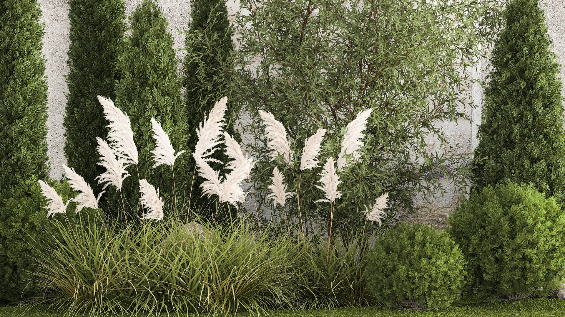 Beautiful garden of thuja cypress topiary bushes grass 1341 3D model_4