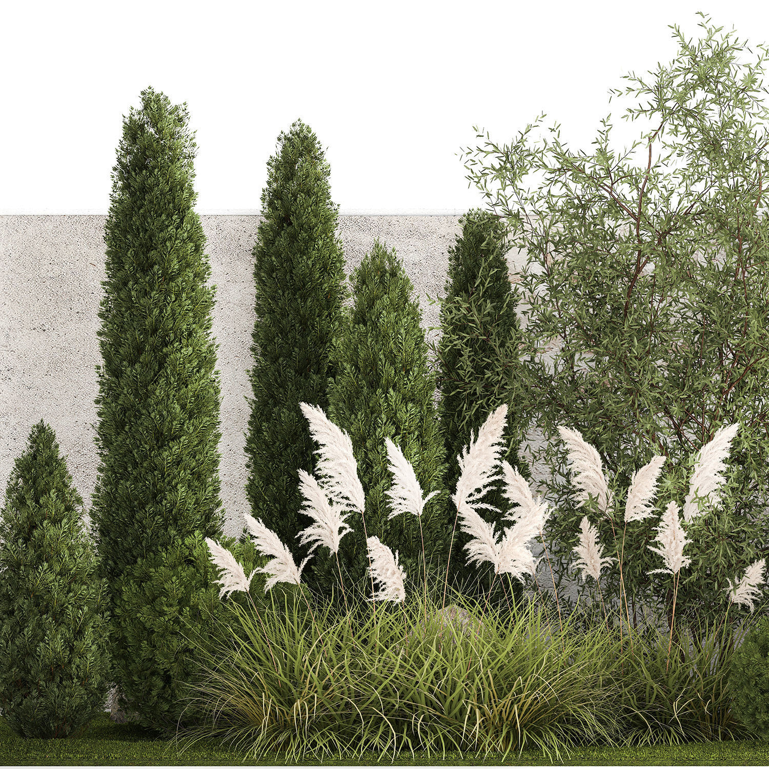 Beautiful garden of thuja cypress topiary bushes grass 1341 3D model_10