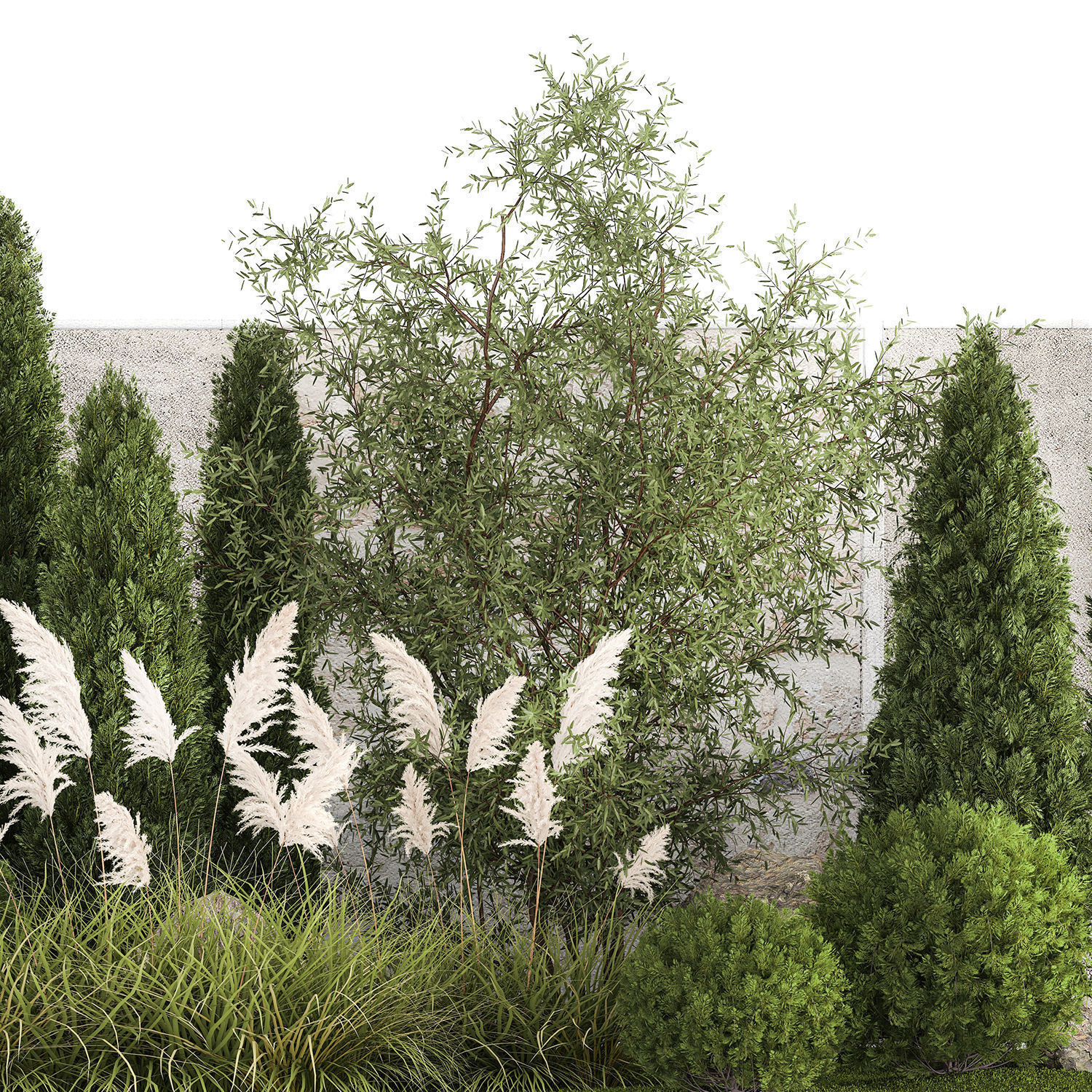 Beautiful garden of thuja cypress topiary bushes grass 1341 3D model_9