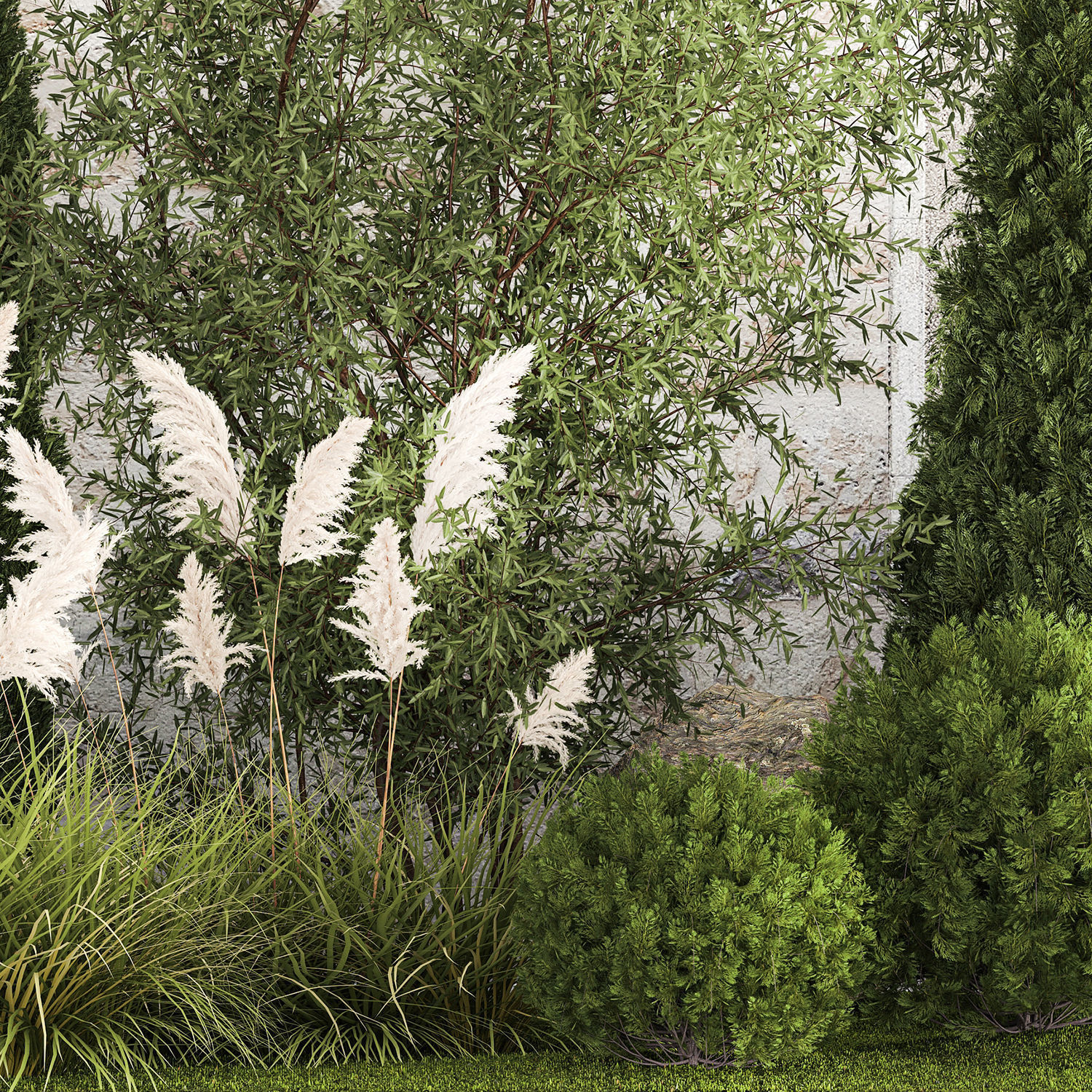 Beautiful garden of thuja cypress topiary bushes grass 1341 3D model_12