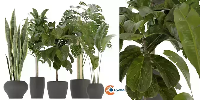 Collection plant vol 286 - blender model  3D model