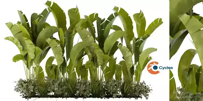 Collection plant vol 289 - blender model 3D model