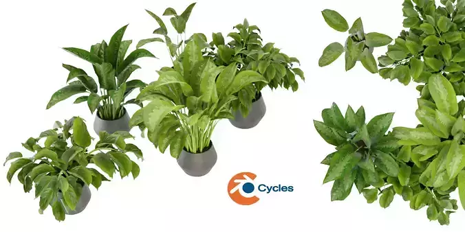 Collection plant vol 290 - blender model 