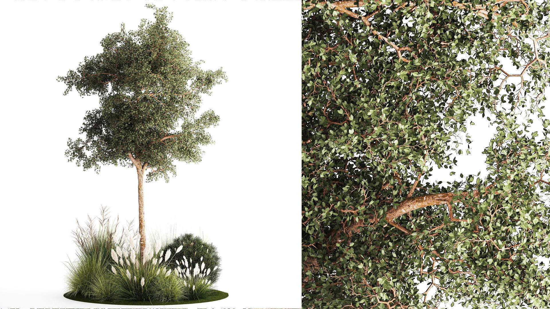 Beautiful garden made of topiary tree bushes grass 1342 3D model_1