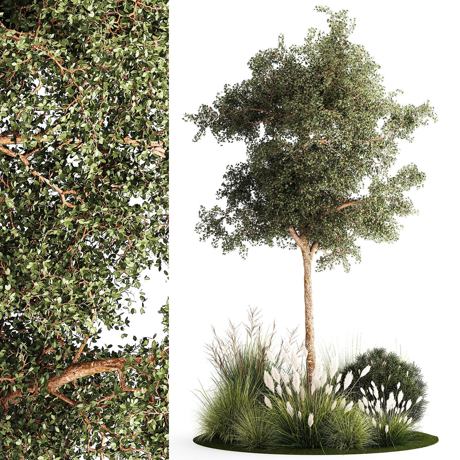 Beautiful garden made of topiary tree bushes grass 1342 3D model_7