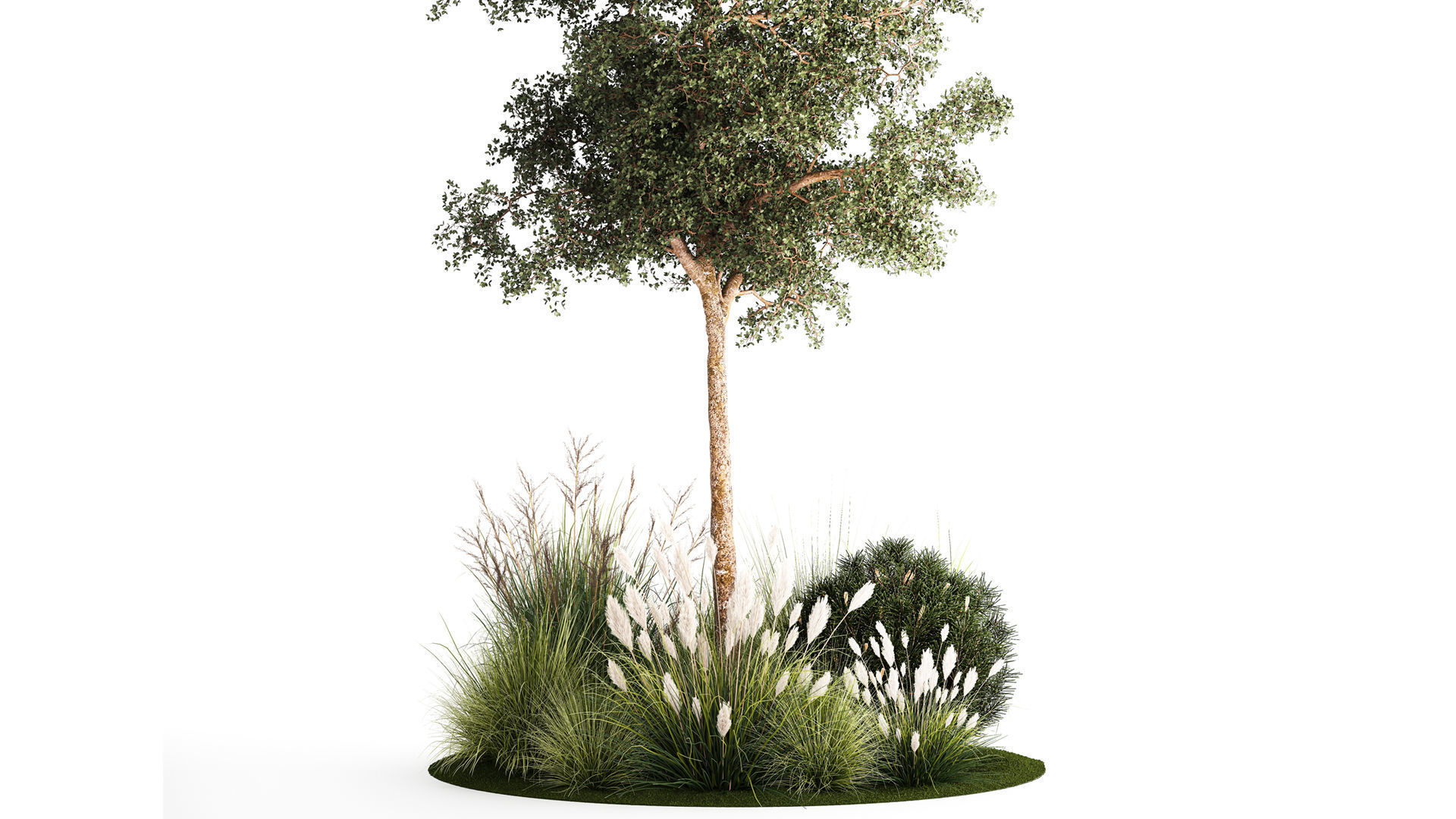 Beautiful garden made of topiary tree bushes grass 1342 3D model_2