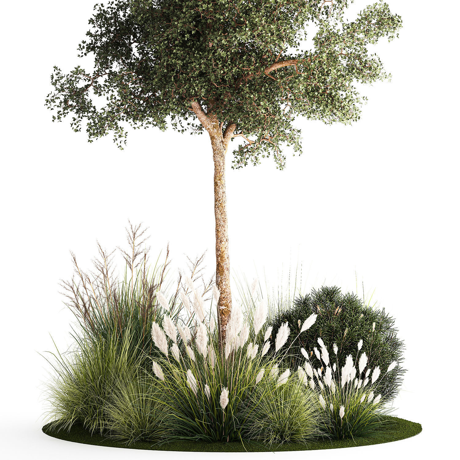 Beautiful garden made of topiary tree bushes grass 1342 3D model_10