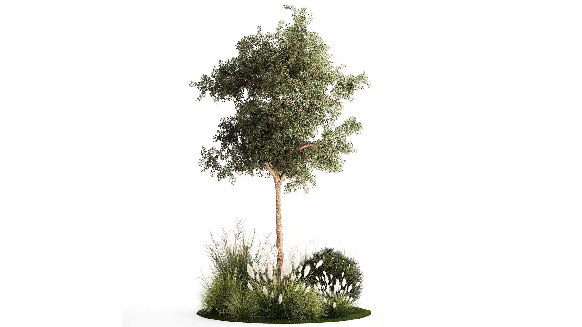 Beautiful garden made of topiary tree bushes grass 1342 3D model_0