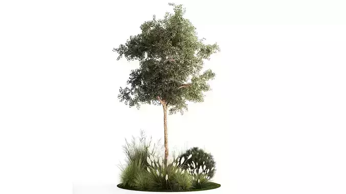Beautiful garden made of topiary tree bushes grass 1342 3D model