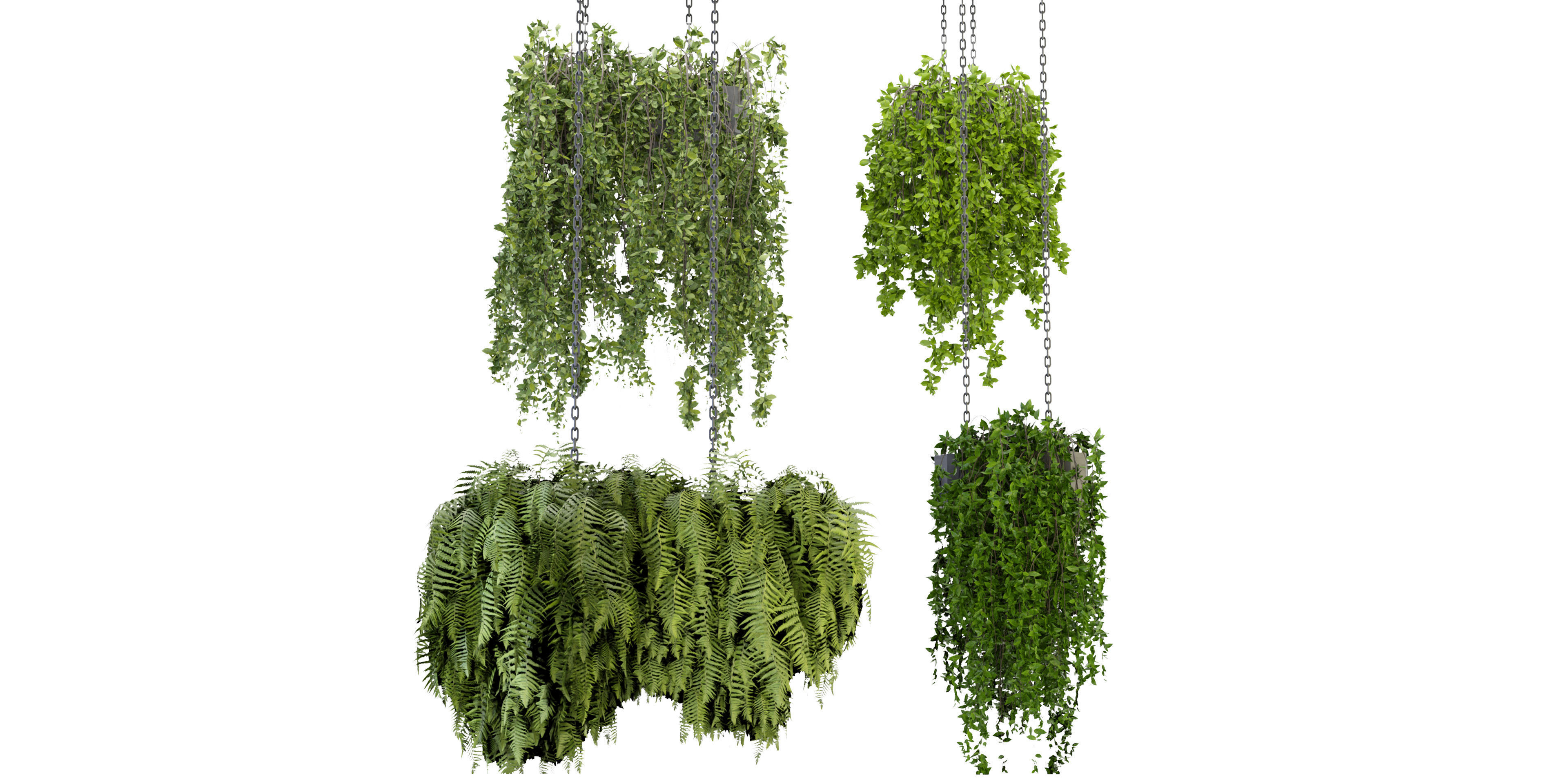 Collection plant vol 291 - blender model  3D model_1