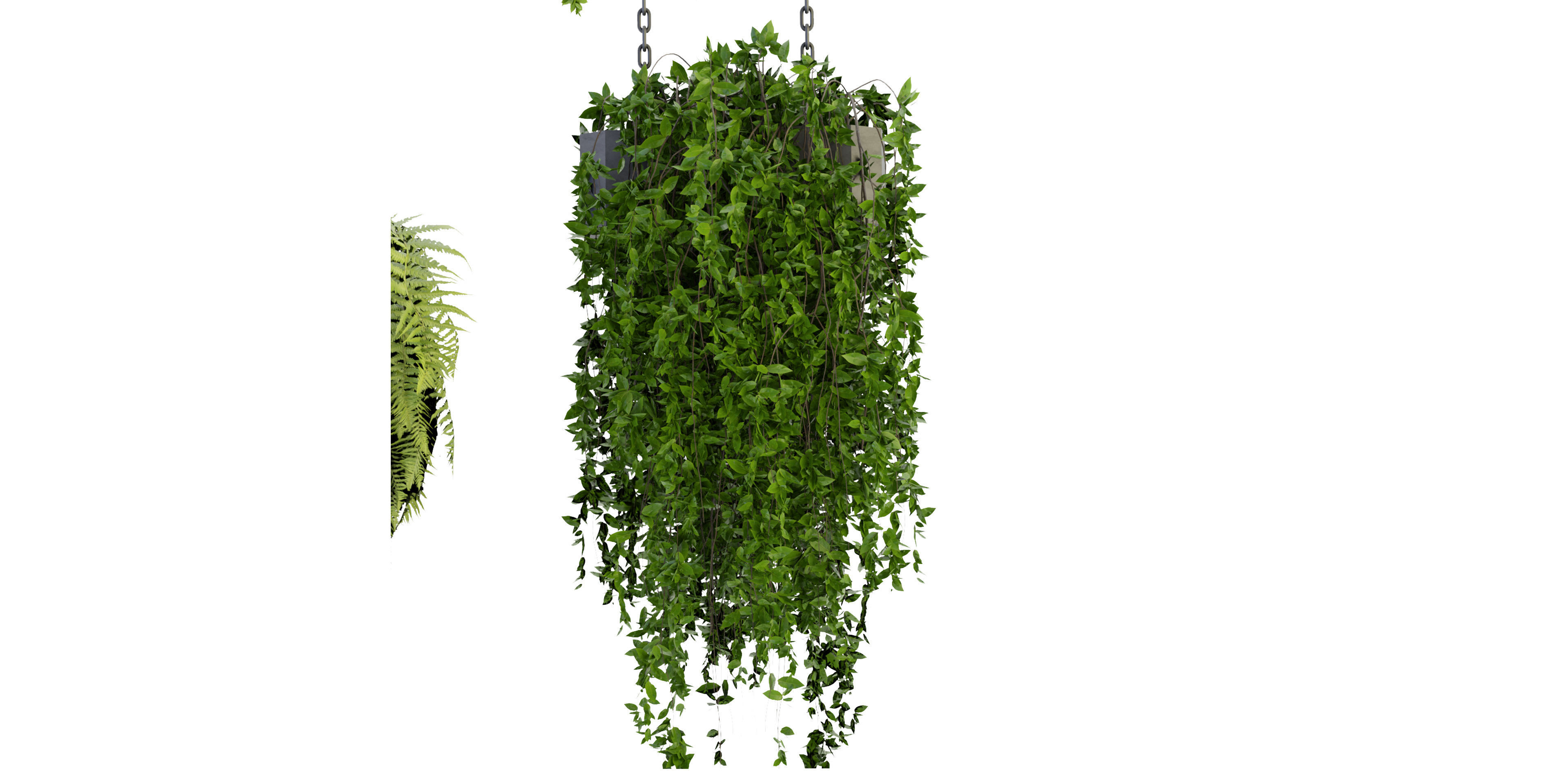 Collection plant vol 291 - blender model  3D model_3