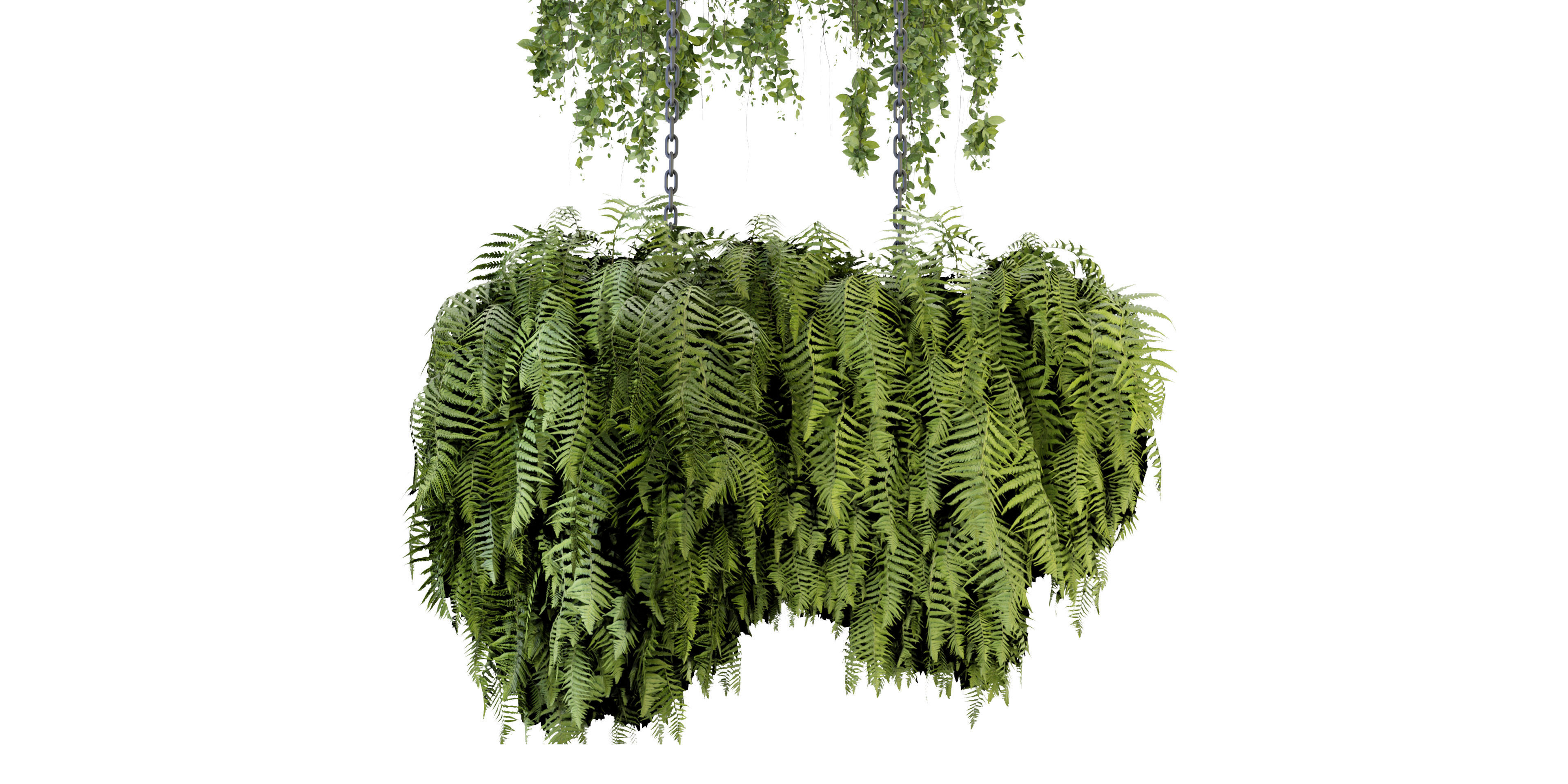 Collection plant vol 291 - blender model  3D model_2