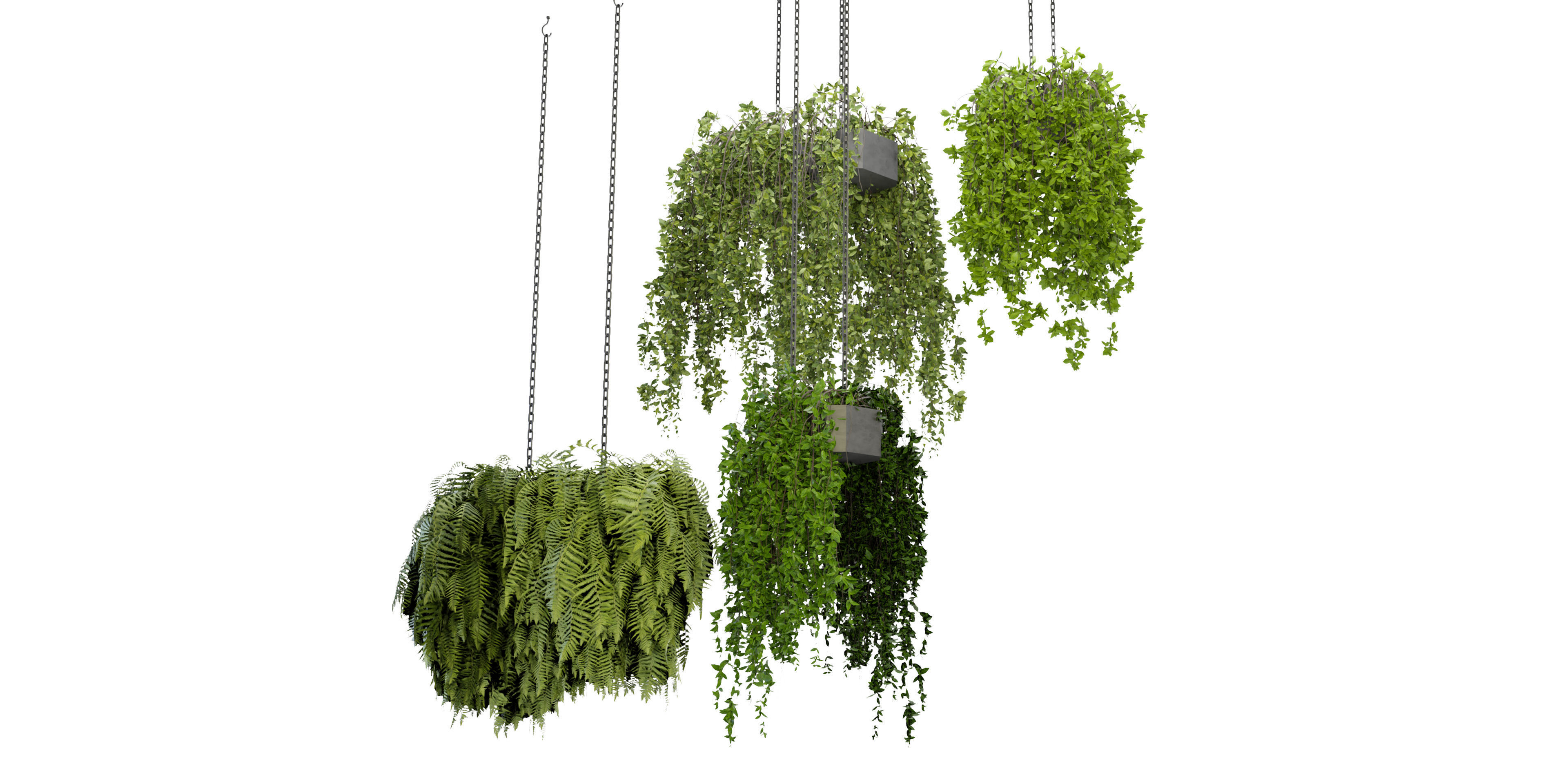 Collection plant vol 291 - blender model  3D model_5