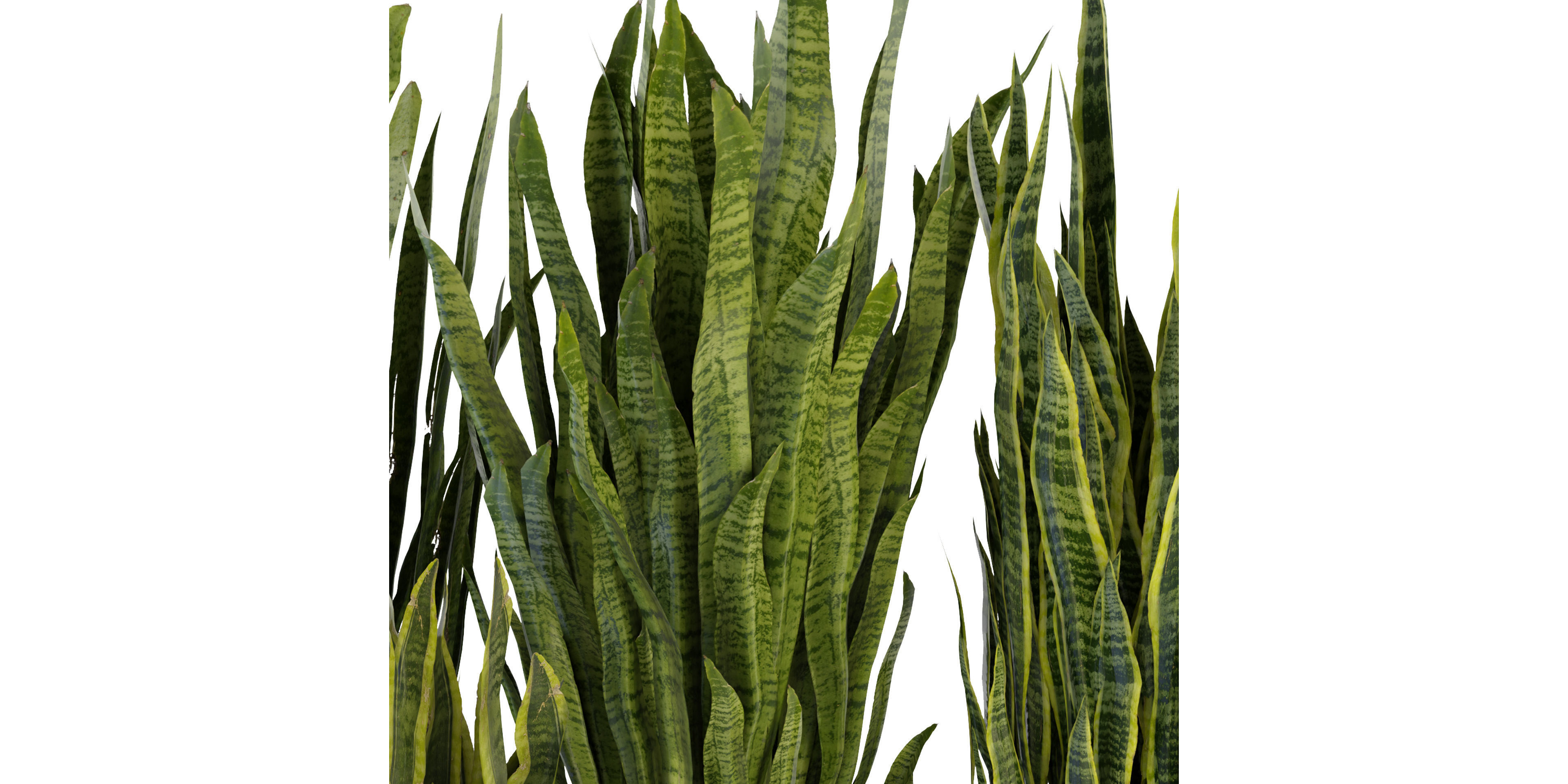 Collection plant vol 292 - blender model  3D model_2