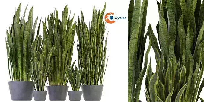 Collection plant vol 292 - blender model 