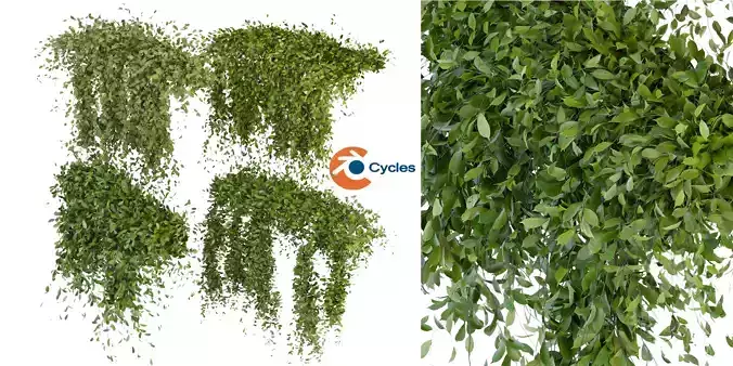 Collection plant vol 293 - blender model 