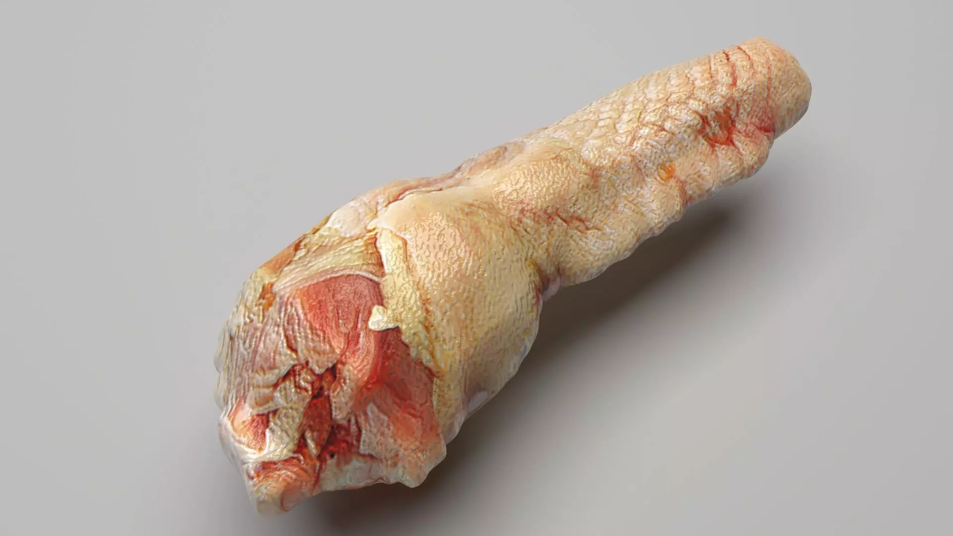 Chicken Neck 3D model