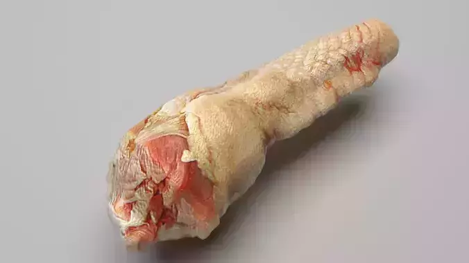 Chicken Neck 3D model