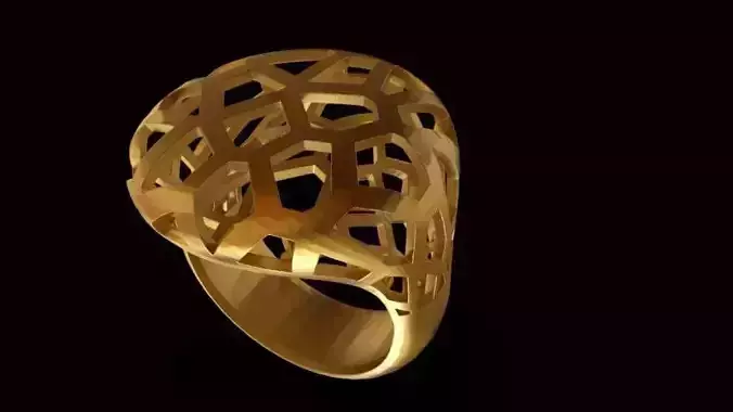 anillo  voronoi ring 