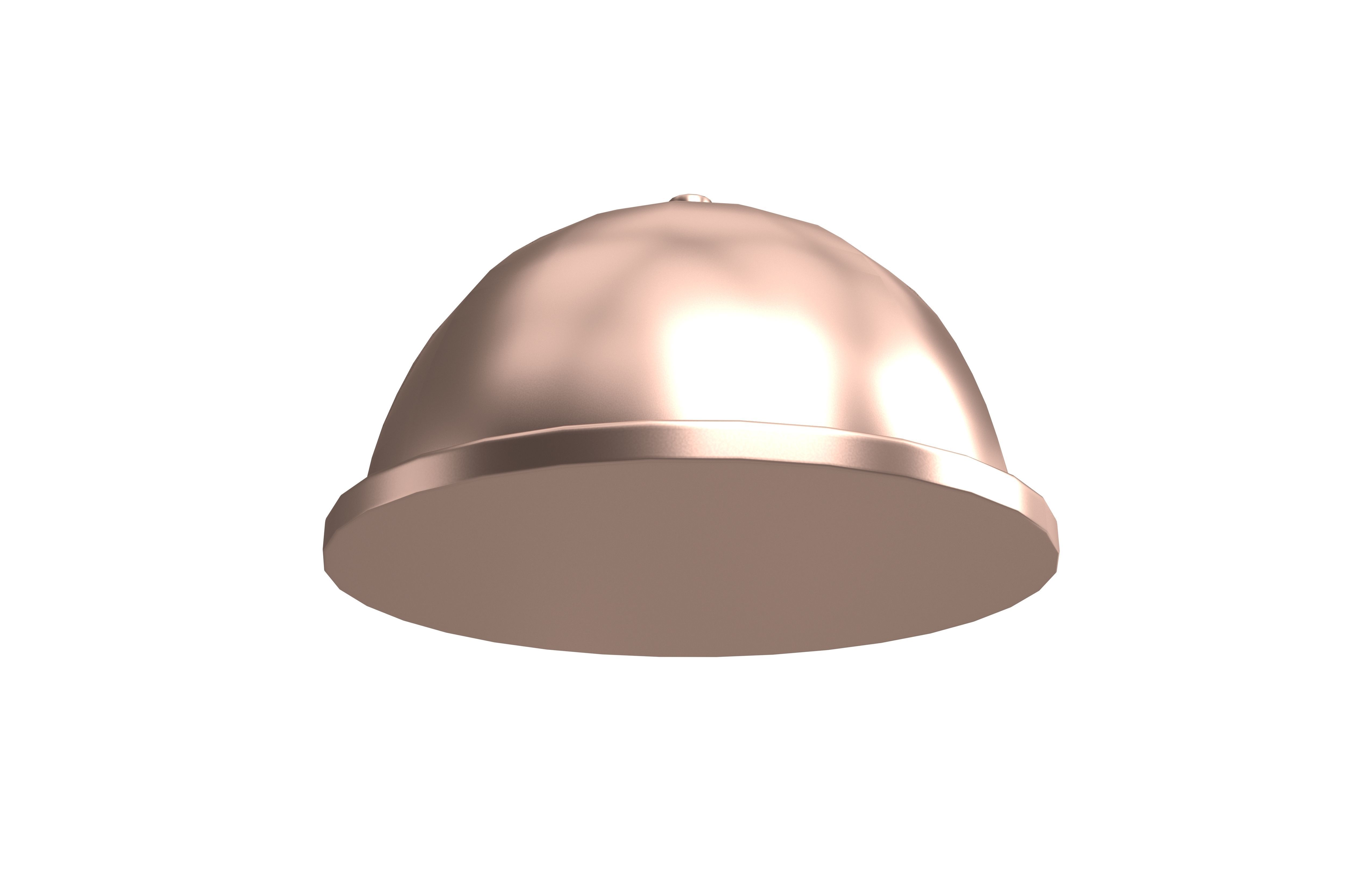 Cloche Food Plate V1 003 Low-poly 3D model_3