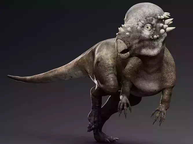 Dinosaur Pachycephalosaurus