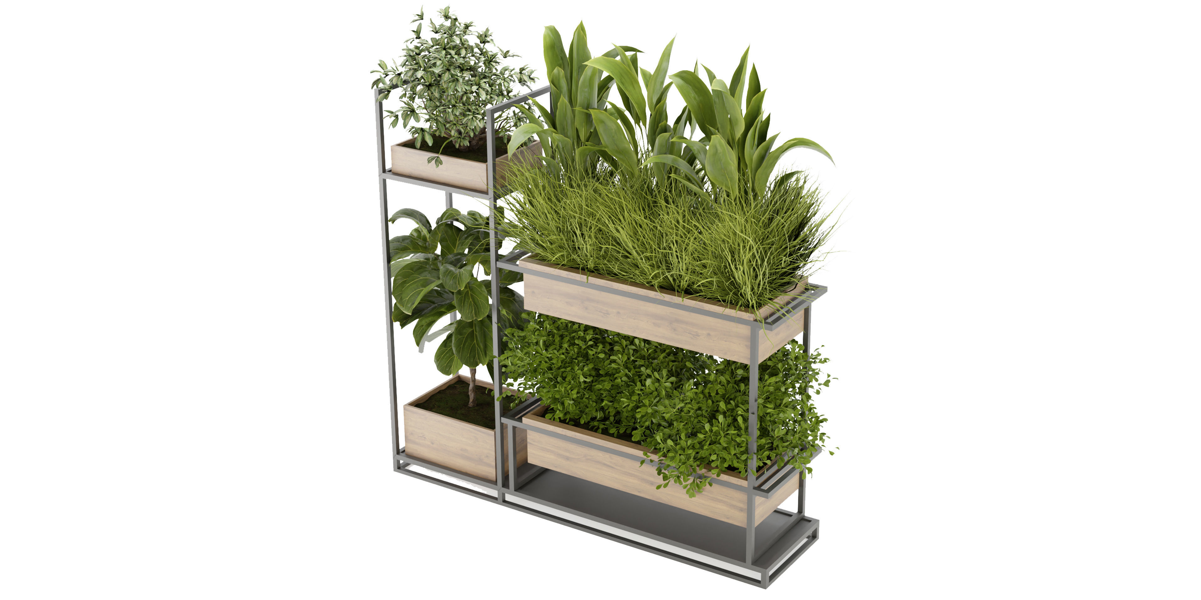 Collection plant vol 296 - blender model  3D model_2