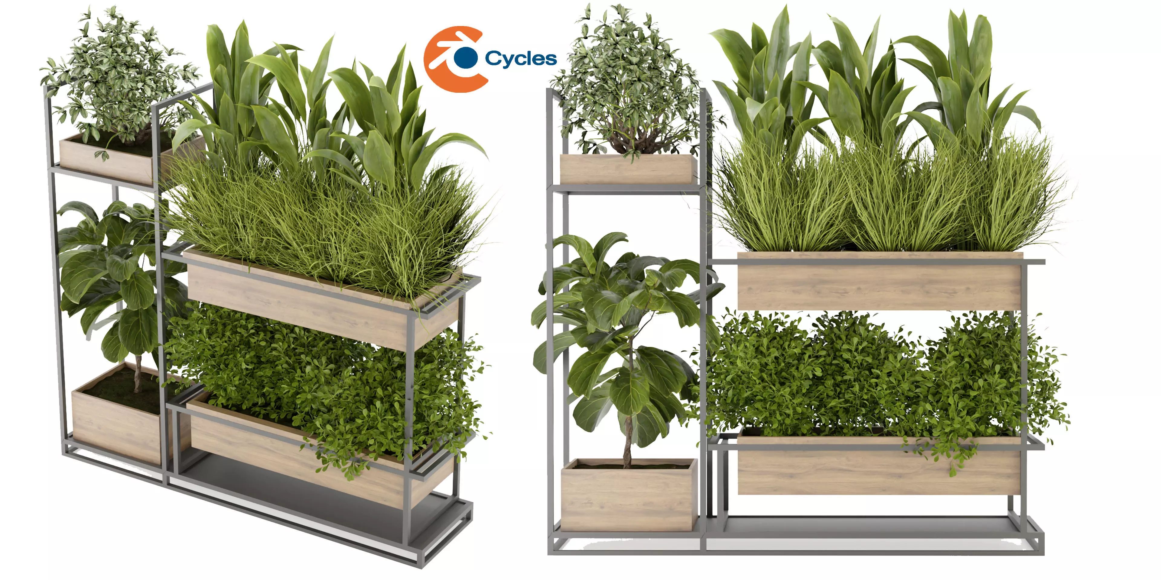 Collection plant vol 296 - blender model  3D model_0